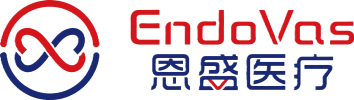 上海恩盛医疗科技有限公司